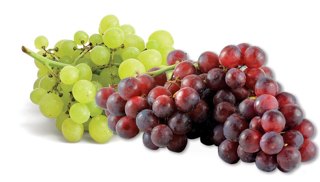 نکاتی که هنگام خرید انگور باید به آنها توجه کرد!