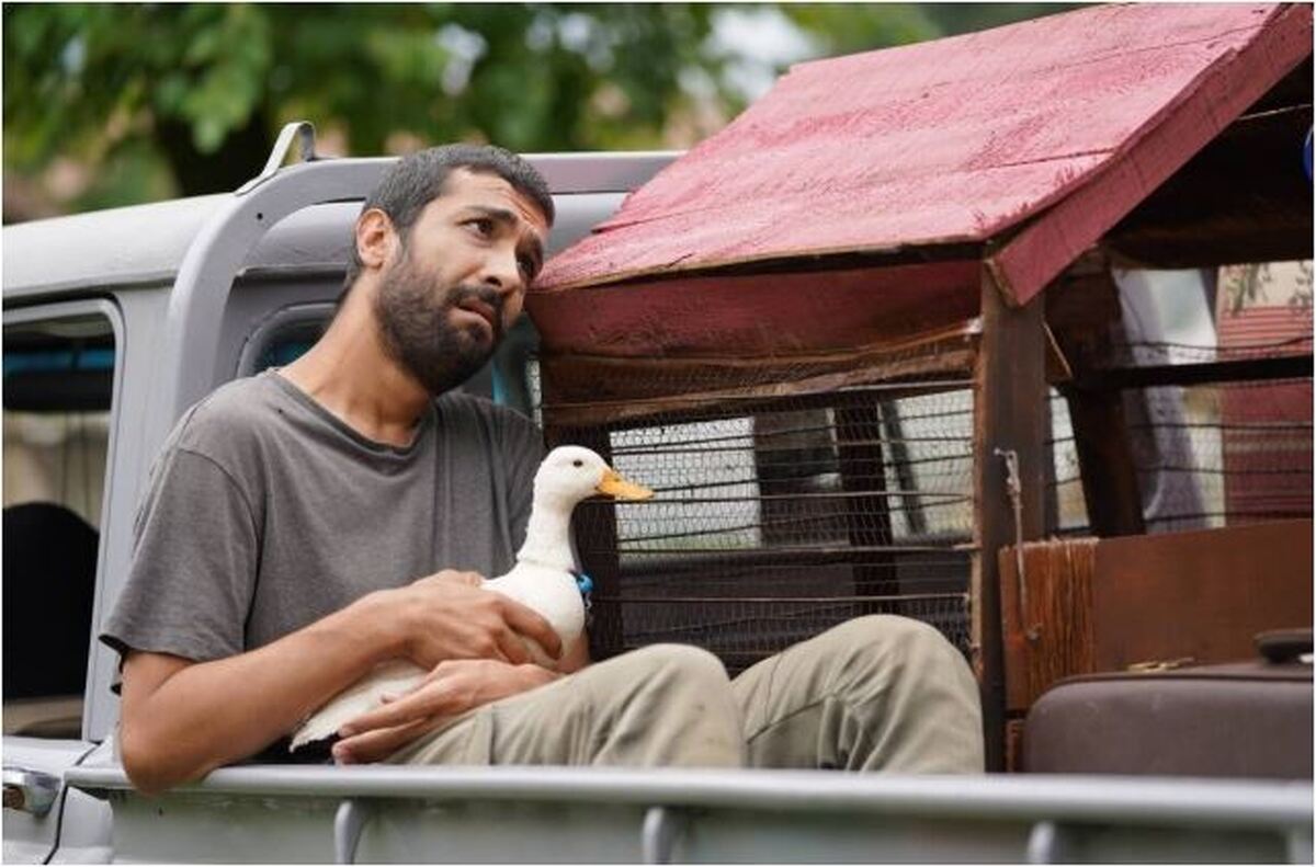 «عاشق پاییز» روی پرده اکران رفت