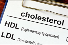 ۵ غذای زمستانی برای کاهش کلسترول بد!