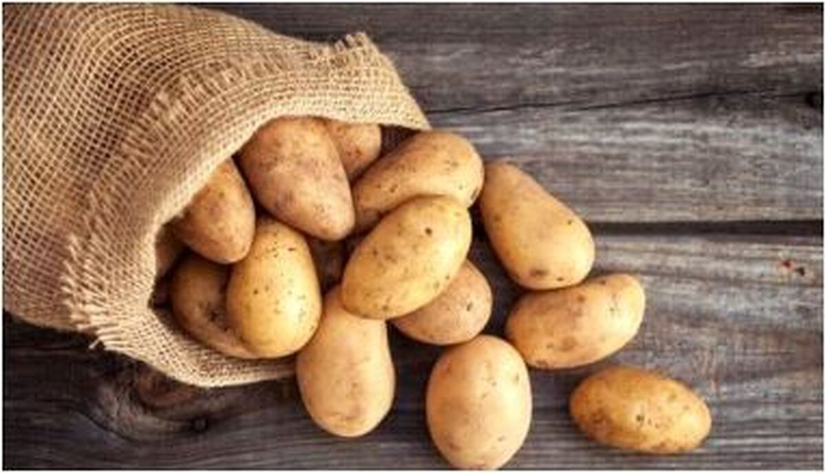 عجیب‌ترین کاربرد‌های سیب زمینی که فکرش را هم نمی‌کردید!