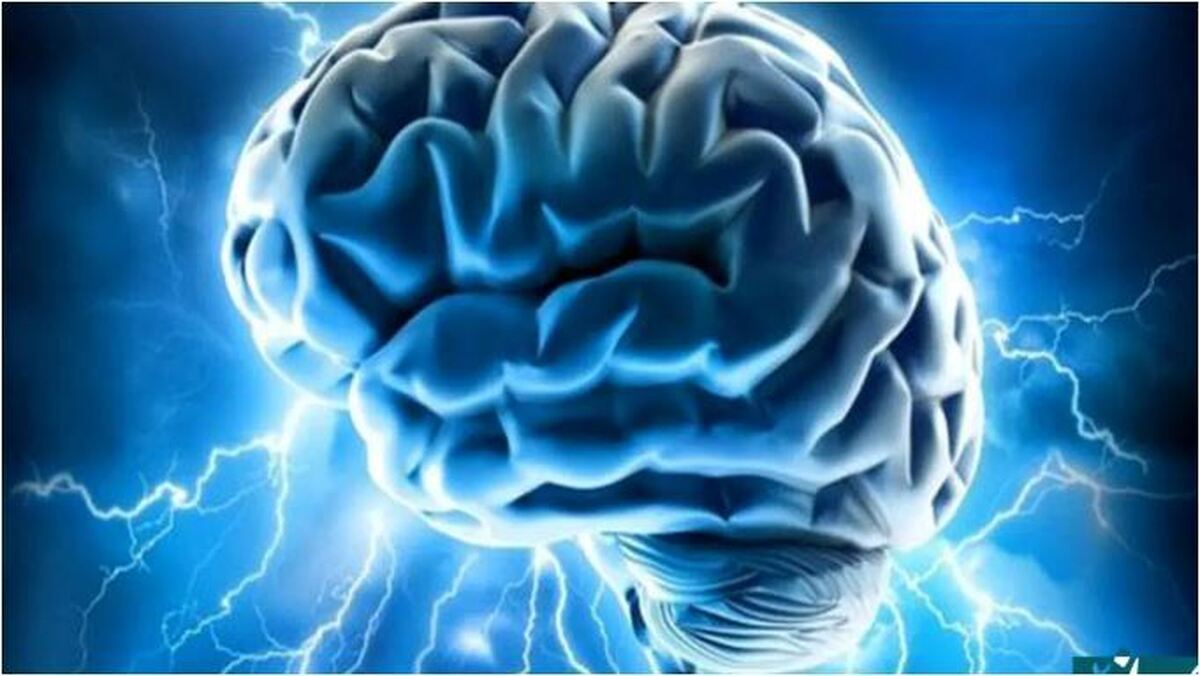 نابودگران خوراکی مغز را بشناسید