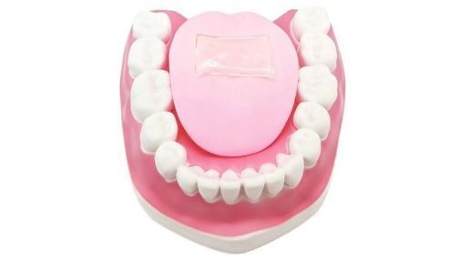 ساخت زبان مصنوعی برای تشخیص میزان تندی غذا‌ها بدون سوختن