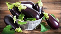 بادمجان، راه حلی خوشمزه برای مدیریت قند خون