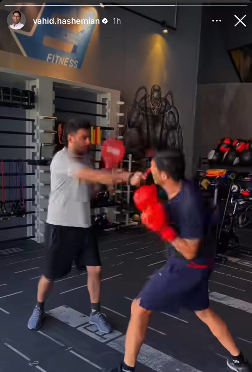 وحید هاشمیان به بوکس رو آورد+عکس وحید هاشمیان به بوکس رو آورد+عکس