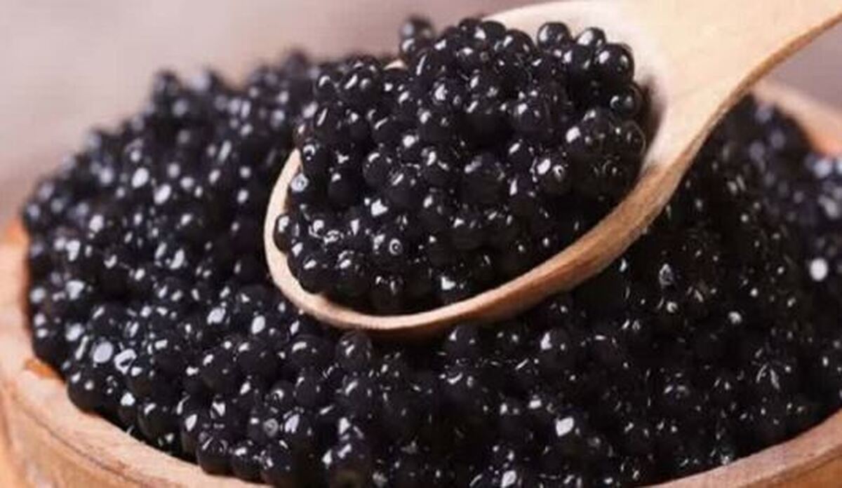 کشف ۸ کیلوگرم خاویار قاچاق در فریدونکنار و یکدستگاه موتور سیکلت سنگین در گلوگاه