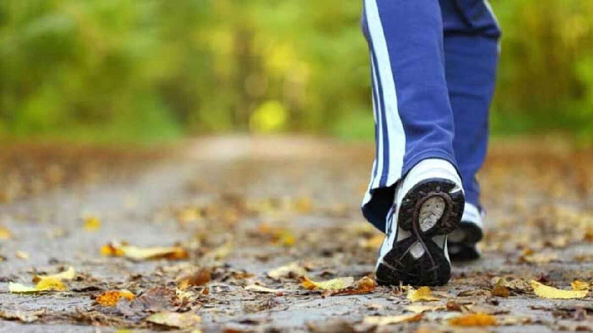 پیاده‌روی‌های طولانی کلید سلامتی قلب!