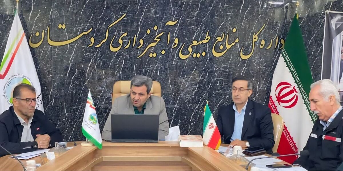 اغلب تعاونی‌های حوزه منابع طبیعی در کردستان غیرفعال هستند