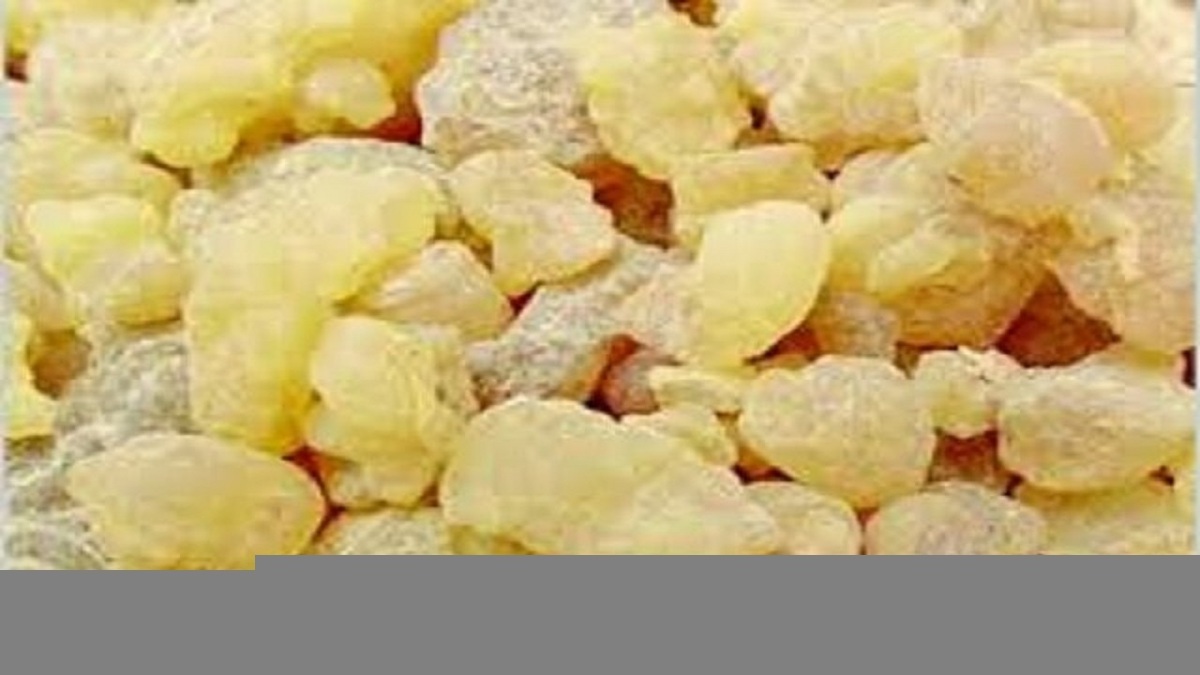 گیاهان دارویی میتوانند بیماری‌های پیچیده را درمان کنند؟