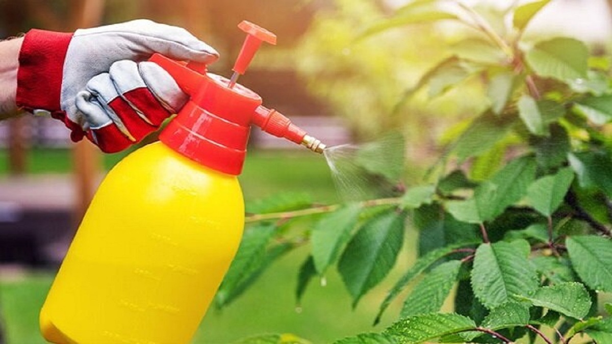 یک آفت‌کش رایج در دوران بارداری بر آینده کودک هم تاثیر دارد!