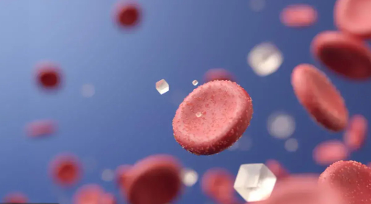 عصاره‌ی میوه‌ای کویری مناسب برای بازگرداندن عملکرد انسولین!