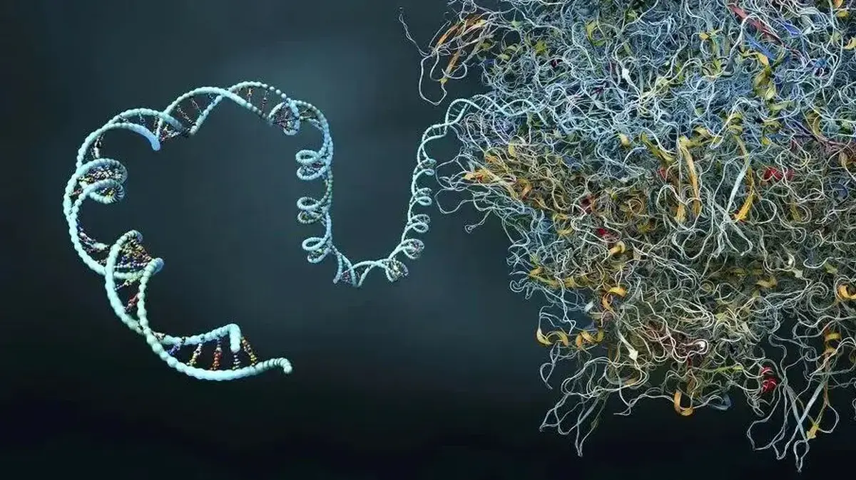 رقابت میان هوش مصنوعی و رایانش کوانتومی!