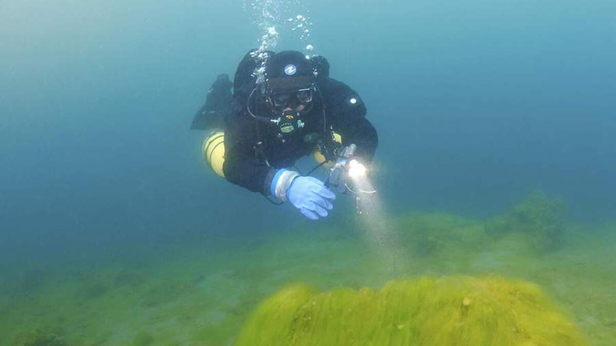 باستان شناسان یک کشتی تجاری رومی ۱۷۰۰ ساله را در مایورکا کشف کردند.