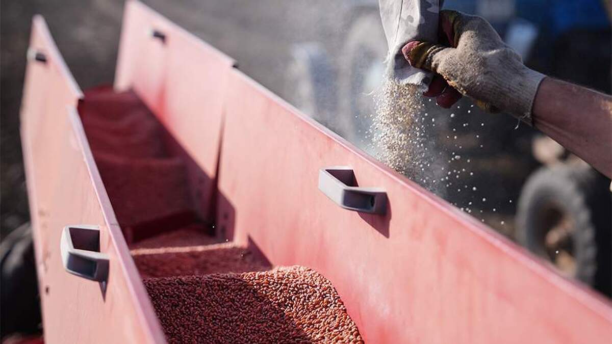 روسیه بیش از ۱۰۰۰ تن گندم از طریق آذربایجان به ارمنستان ارسال کرد.