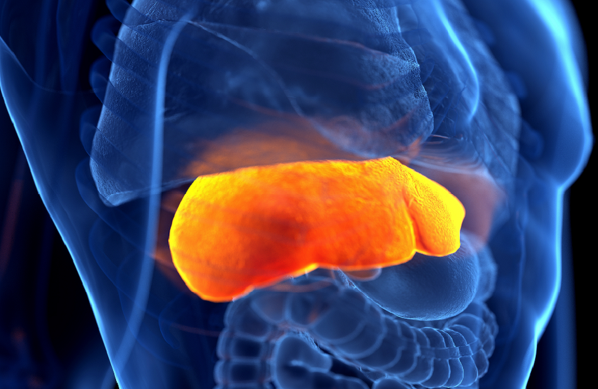 یک ماده رایج در زندگی روزمره ما با سیروز کبدی و سرطان مرتبط است