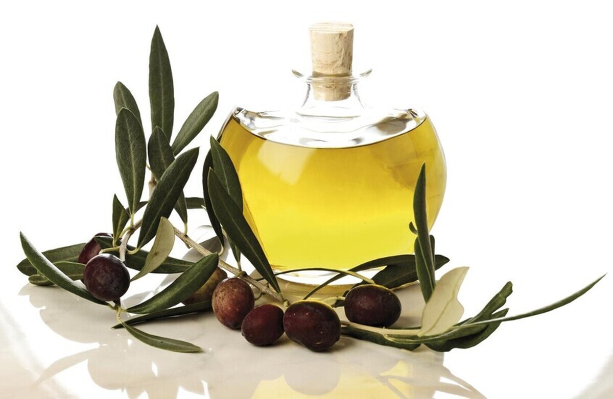 یک مطالعه فواید روغن زیتون را در جلوگیری از چاقی و التهاب مغز نشان می‌دهد