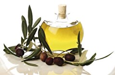 یک مطالعه فواید روغن زیتون را در جلوگیری از چاقی و التهاب مغز نشان می‌دهد