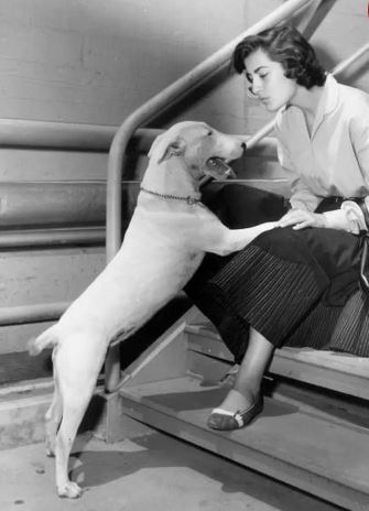 تصویر سیاه و سفید از ایرنه پاپاس در حال سگ بازی کردن! +عکس تصویر سیاه و سفید از ایرنه پاپاس در حال سگ بازی کردن! +عکس