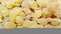 گیاهان دارویی میتوانند بیماری‌های پیچیده را درمان کنند؟