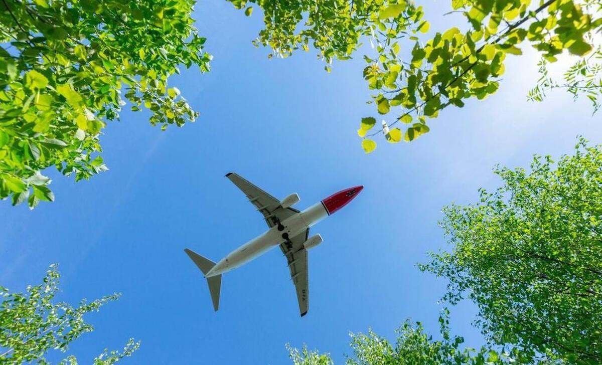 پرواز‌ها در دنیای واقعی و کشف حقایقی تلخ و عجیب