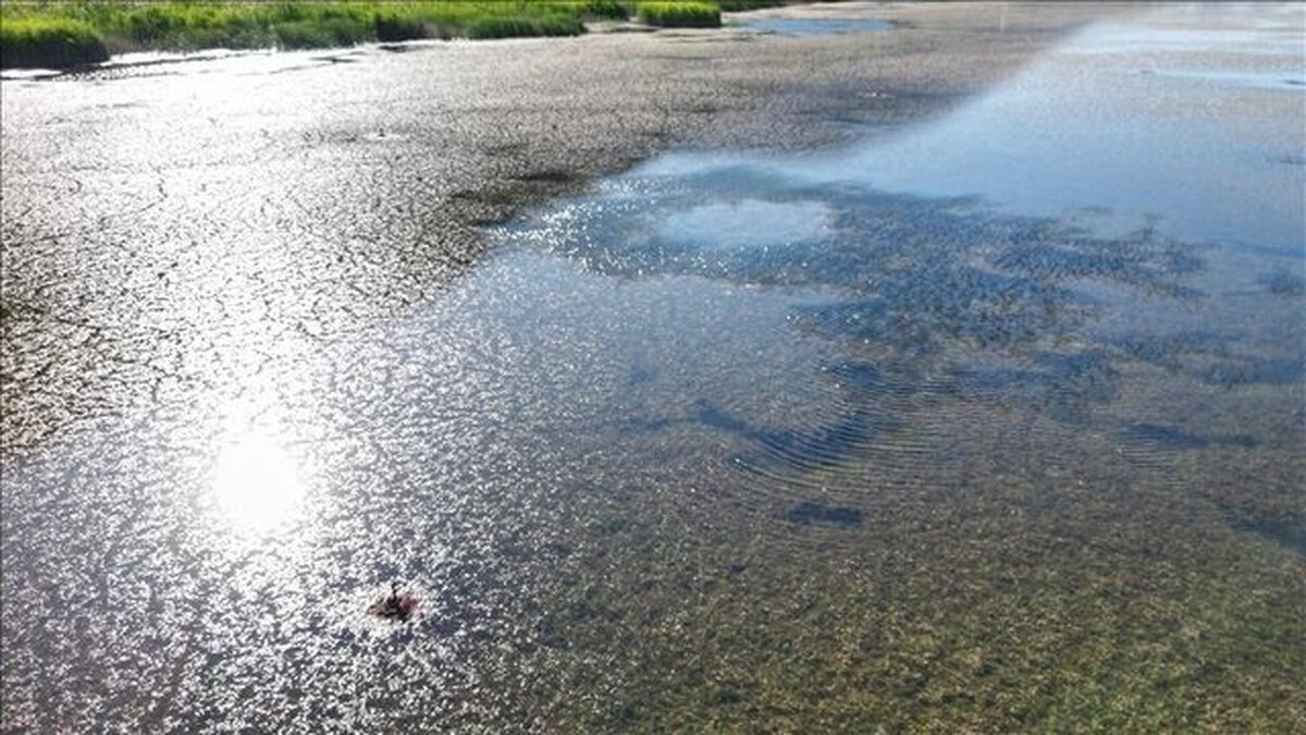 بحران کم‌آبی در اروپا؛ انگلیس در آستانه خشکسالی بی‌سابقه