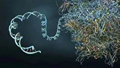 رقابت میان هوش مصنوعی و رایانش کوانتومی!