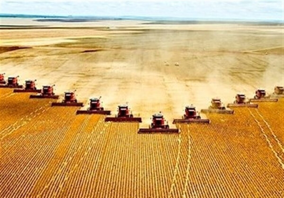 اجرای کشت مکانیزه غلات در ۲۰ هکتار مزارع کاشان