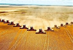 اجرای کشت مکانیزه غلات در ۲۰ هکتار مزارع کاشان