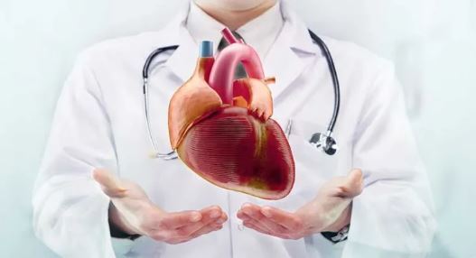 فواید سیب از زبان یک متخصص تغذیه/راهی ساده برای رسیدن به سلامتی فواید سیب از زبان یک متخصص تغذیه/راهی ساده برای رسیدن به سلامتی