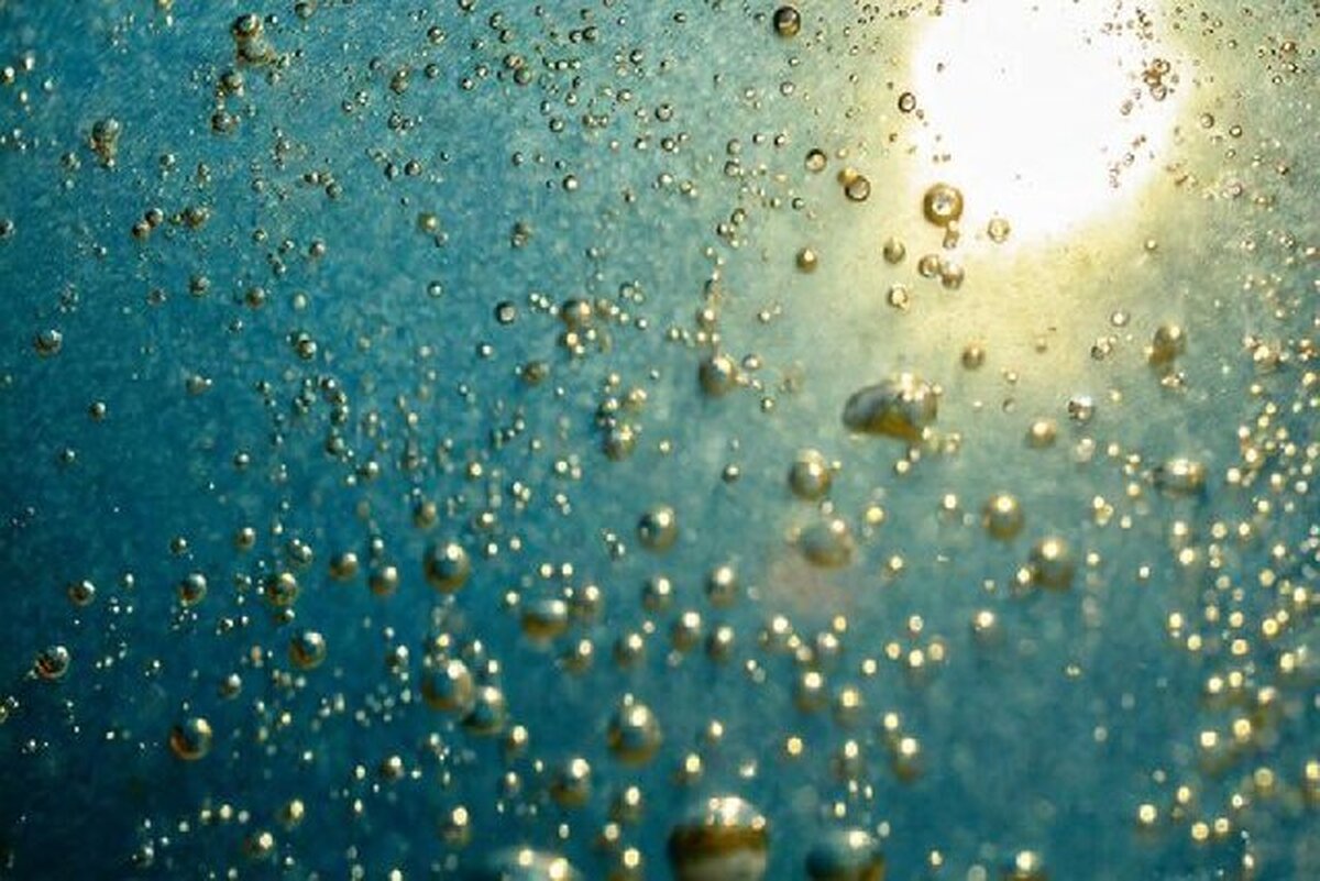 برگزاری کارگاه مشترک ایران و چین با محوریت «کربن‌زدایی و محیط‌زیست پایدار»