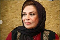 درخت کریسمس ابتکاری گوهر خیراندیش در آمریکا+عکس