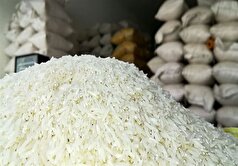 توزیع برنج پاکستانی با قیمت ۵۰ تا ۶۶ هزار تومان از روز‌های آینده