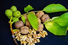 گردو داروی طبیعی و مفید برای کاهش التهاب