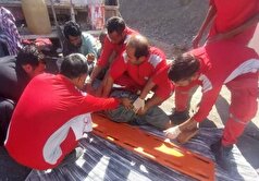 آمار مصدومین و فوتی‌های تصادف زنجیره‌ای میان دو کامیونت و یک مینی‌بوس