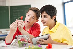 MedicalXpress: علف‌کش‌ها بر عملکرد مغز نوجوانان تأثیر منفی می‌گذارند