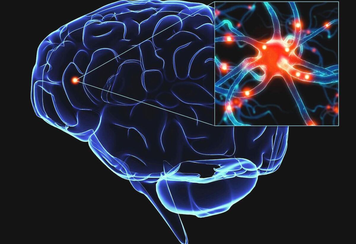 قطعات سمی DNA ممکن است علت بیماری پارکینسون باشند