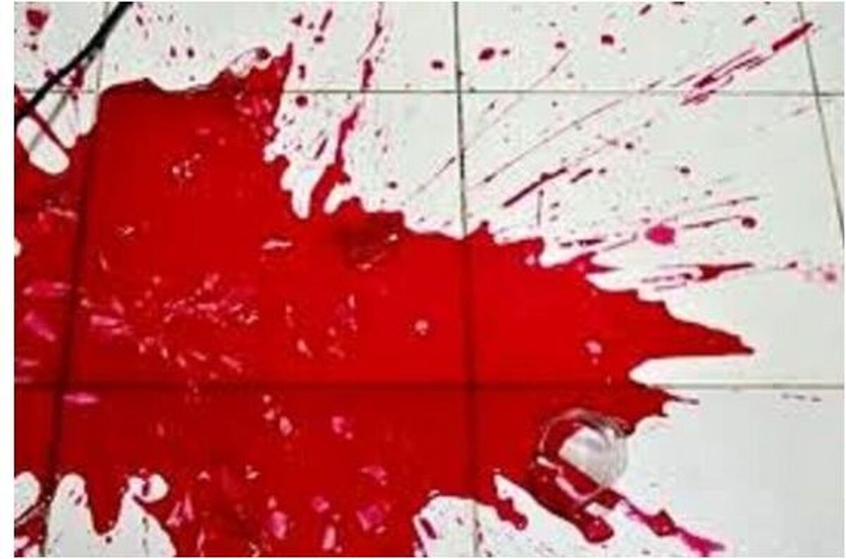 دو برادر که در زاهدان قتل انجام داده بودند در تهران دستگیر شدند