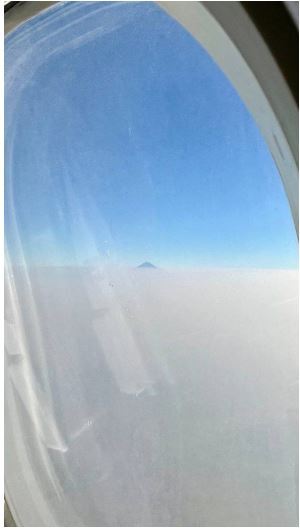 تصویری از دیو سفیدپای در بند از نمایی متفاوت