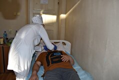 کارشناسان در مورد پیشگیری از HFRS صحبت می‌کنند