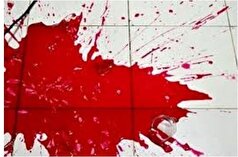 دو برادر که در زاهدان قتل انجام داده بودند در تهران دستگیر شدند