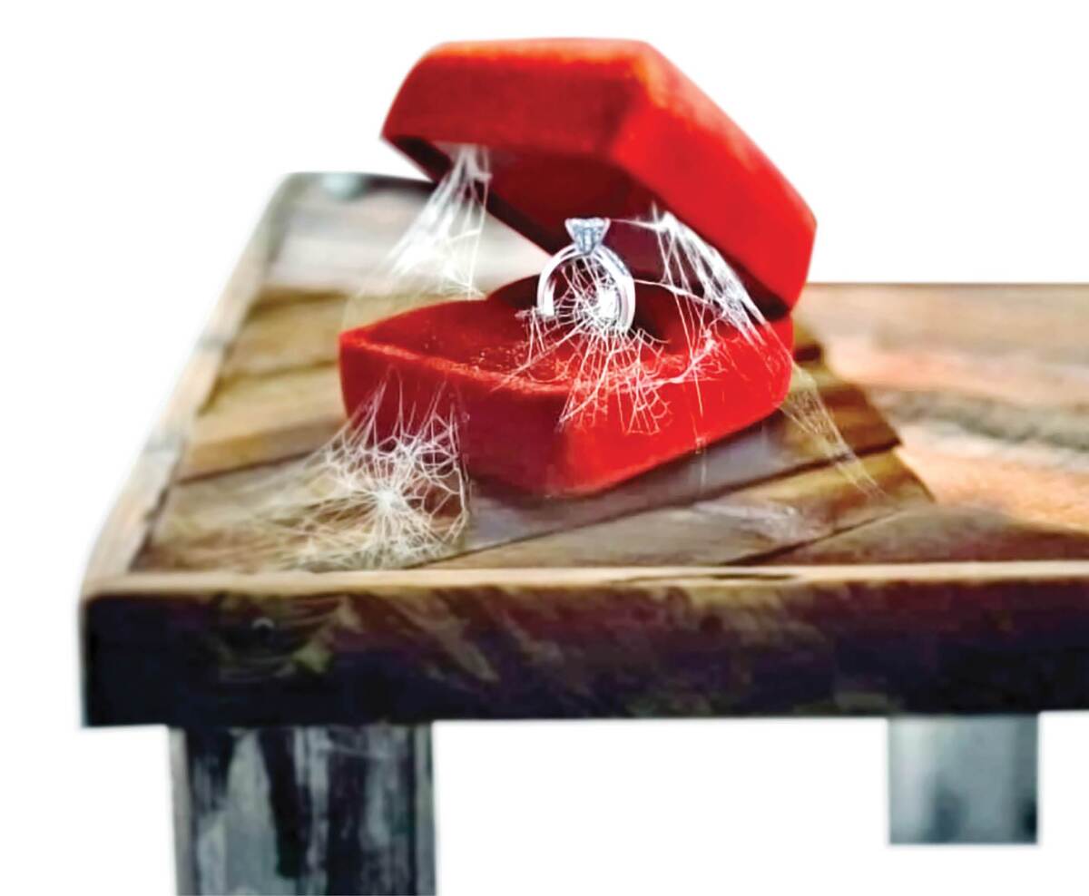 هر چه می‌گذرد ازدواج به بعد موکول می‌شود؟!