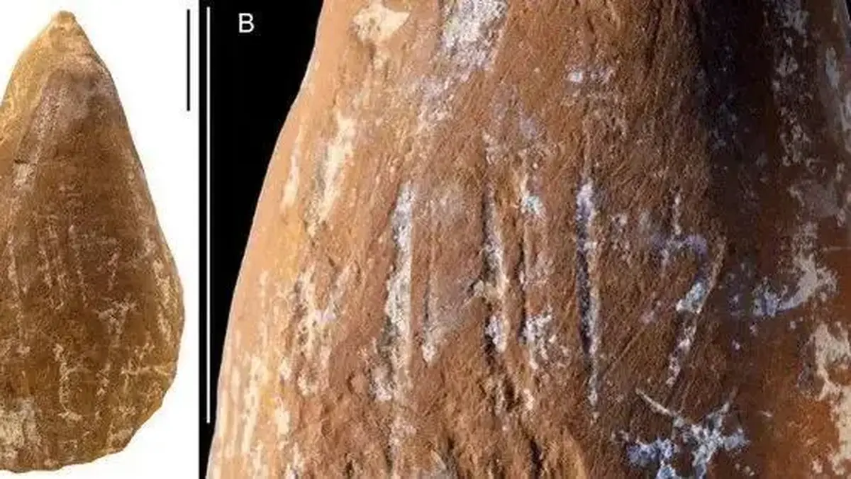 ماجرای استفاده نئاندرتال‌ها از مدادشمعی چه بود؟