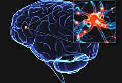 قطعات سمی DNA ممکن است علت بیماری پارکینسون باشند