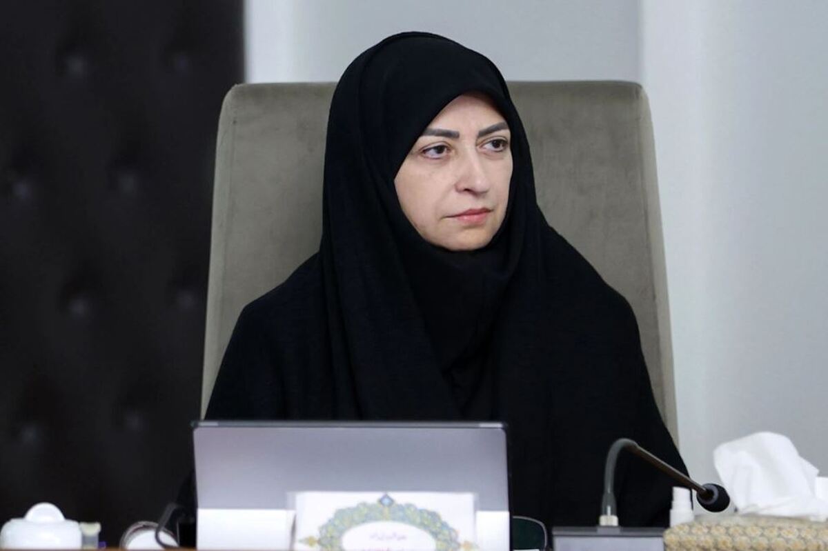 واکنش خبرساز شینا انصاری در پی درخواست بودجه ۵۰ میلیاردی سازمان حفاظت محیط زیست