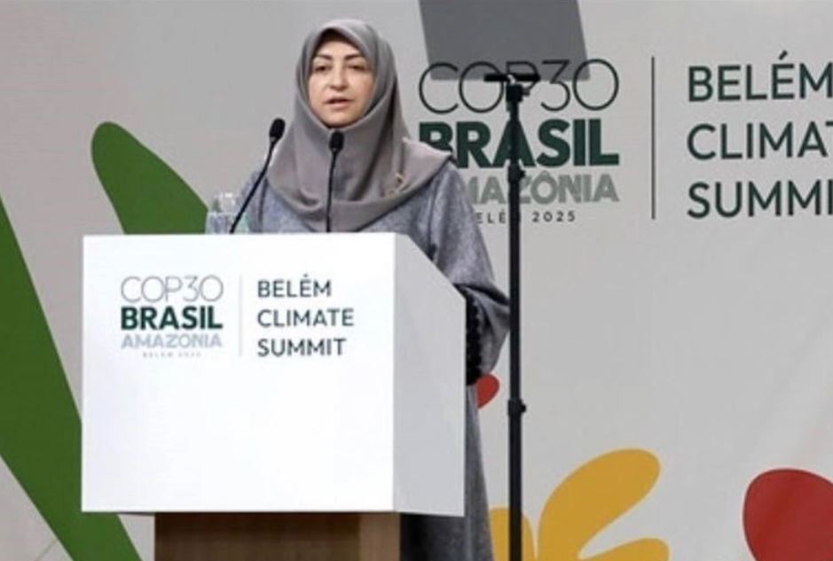 واکنش خبرساز شینا انصاری در پی درخواست بودجه ۵۰ میلیاردی سازمان حفاظت محیط زیست واکنش خبرساز شینا انصاری در پی درخواست بودجه ۵۰ میلیاردی سازمان حفاظت محیط زیست