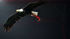 دی مارتزیو: روی کاستا دوباره به عنوان رئیس بنفیکا انتخاب شد