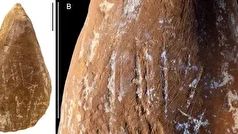 ماجرای استفاده نئاندرتال‌ها از مدادشمعی چه بود؟