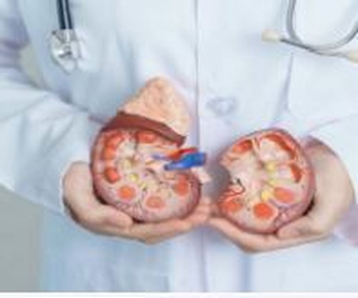 بهداشت جهانی: تعداد بزرگسالان مبتلا به بیماری مزمن کلیه از سال ۱۹۹۰ دو برابر شده است