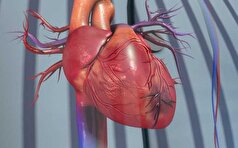 دانشمندان آمریکایی یک بیماری قلبی عروقی جدید را توصیف کرده‌اند