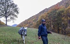 لزوم همکاری مردم برای حفاظت از گونه‌های نادر و حیات وحش در کردستان