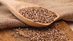 یک متخصص تغذیه، کربوهیدرات‌های سالم برای گروه‌های سنی مختلف را فهرست کرد.